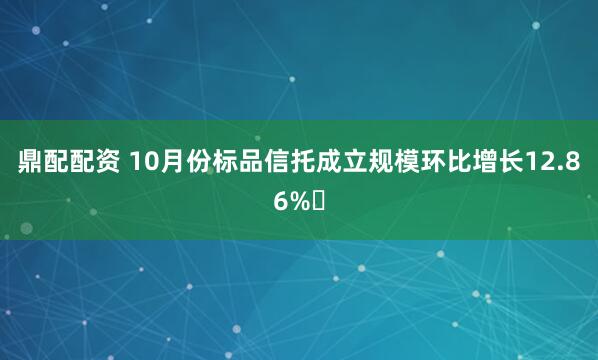 鼎配配资 10月份标品信托成立规模环比增长12.86%‌