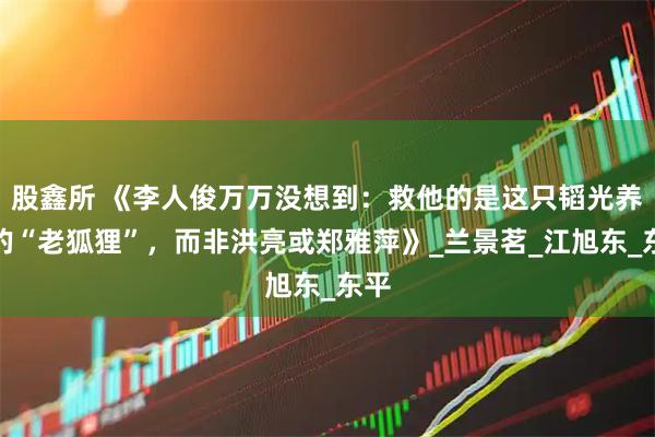 股鑫所 《李人俊万万没想到：救他的是这只韬光养晦的“老狐狸”，而非洪亮或郑雅萍》_兰景茗_江旭东_东平